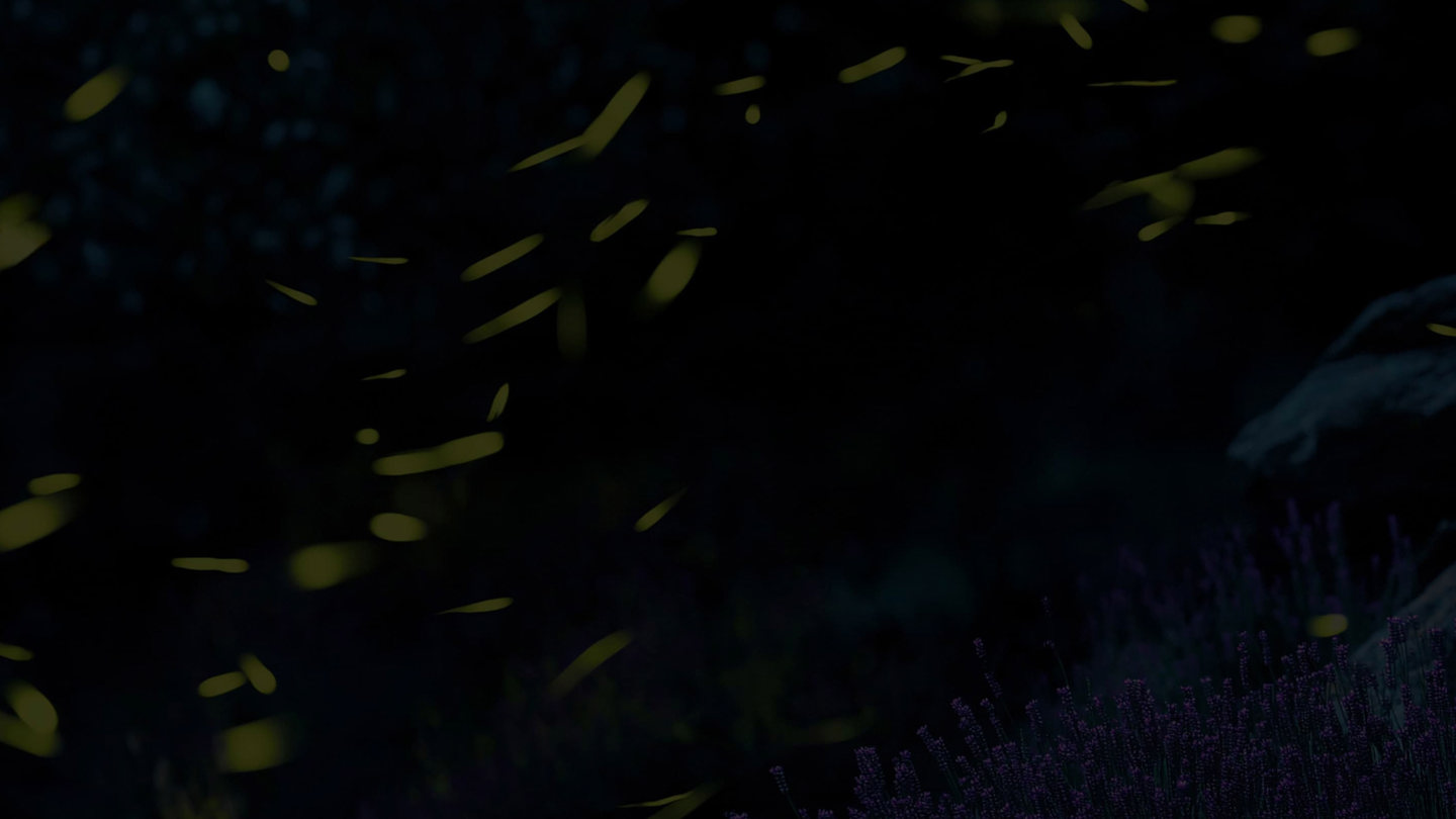 firefly om os siden